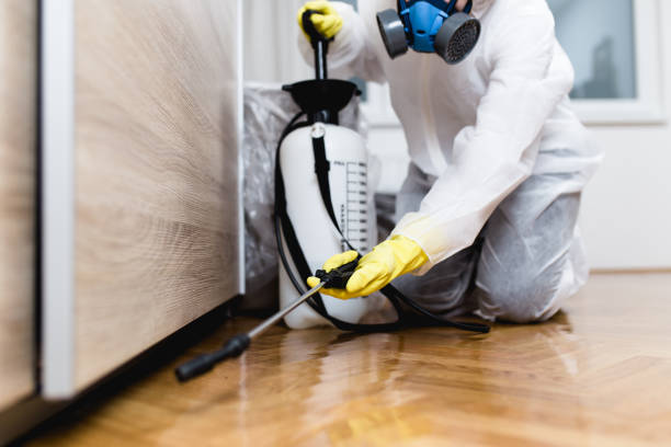 Best Exterminator Services  in Port Byron, IL