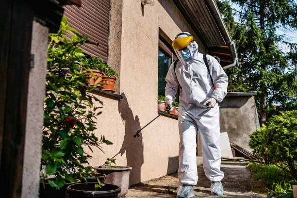 Best Pest Prevention Services  in Port Byron, IL