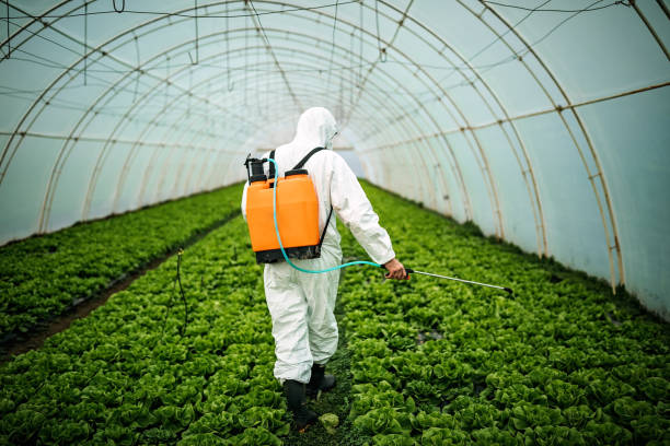 Best Pest Control Near Me  in Port Byron, IL