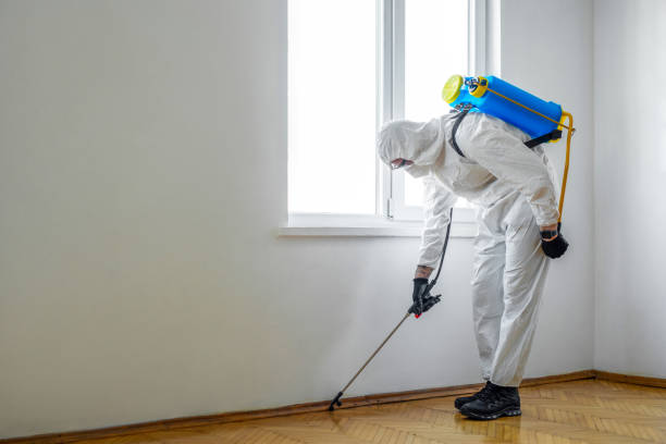Best Emergency Pest Control  in Port Byron, IL