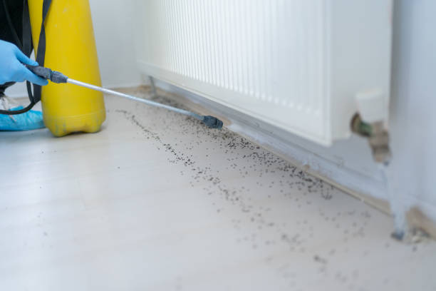 Best Residential Pest Control  in Port Byron, IL