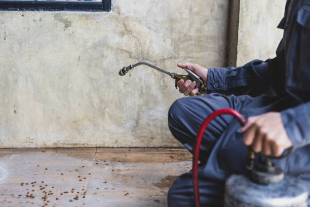 Best Flea Control Services  in Port Byron, IL