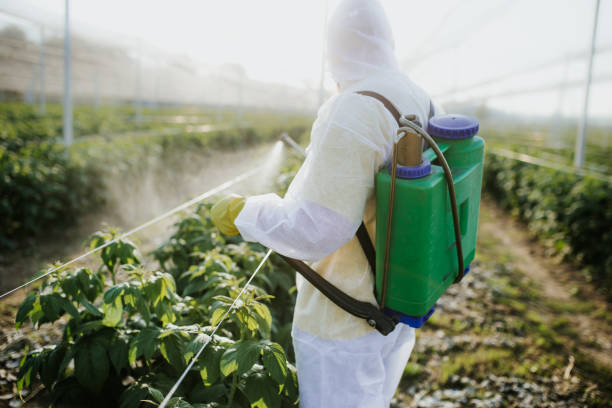 Best Cockroach Control Services  in Port Byron, IL
